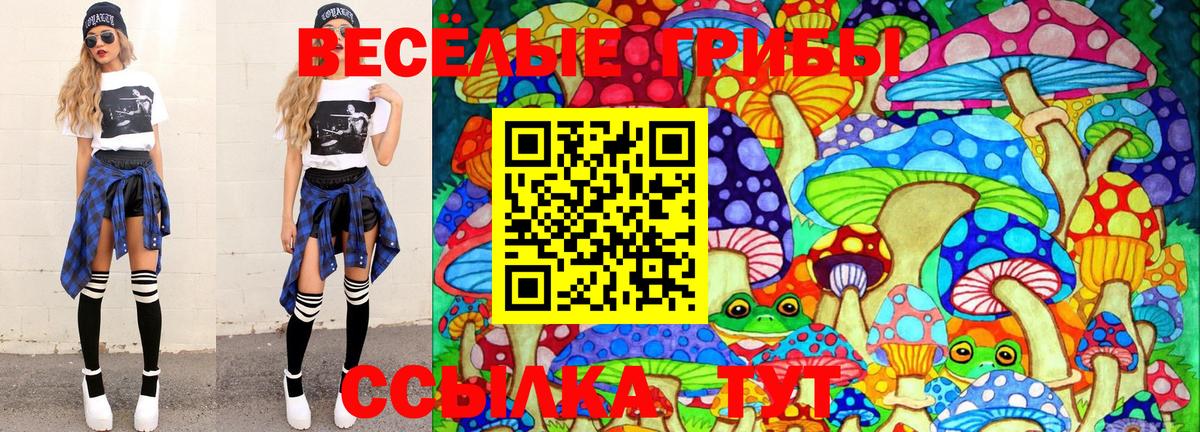 Псилоцибиновые грибы GOLDEN TEACHER Заринск